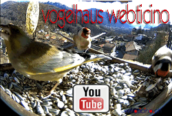 Vogelhaus webticino Mobotix